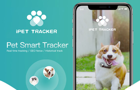 How To Custom Pet Tracker App? Software Develop Service...