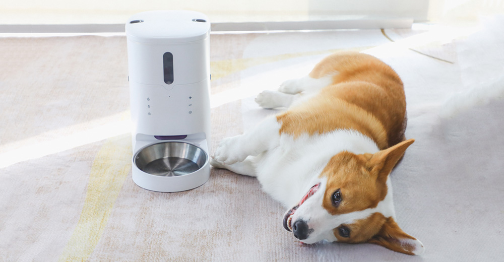 large dog food dispenser