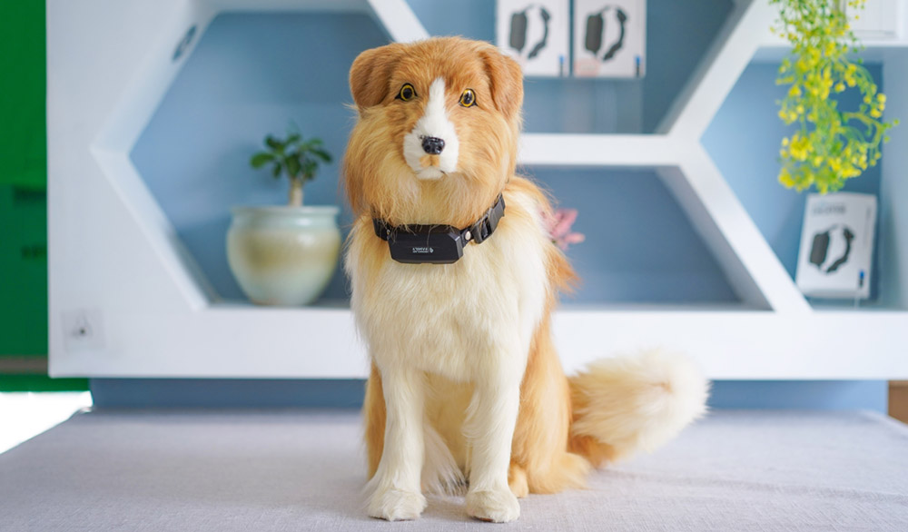 pet tracking collar