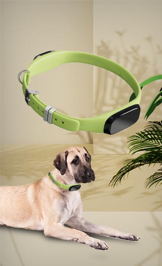 Pet GPS Tracker