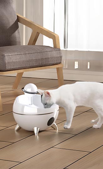 Pet Water Dispenser