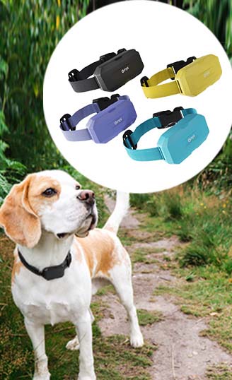 Pet Tracking Collar