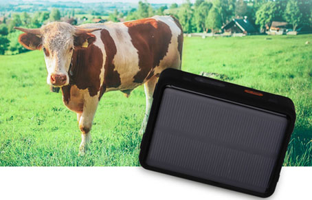 How About The Market Outlook For Cow GPS Tracker?