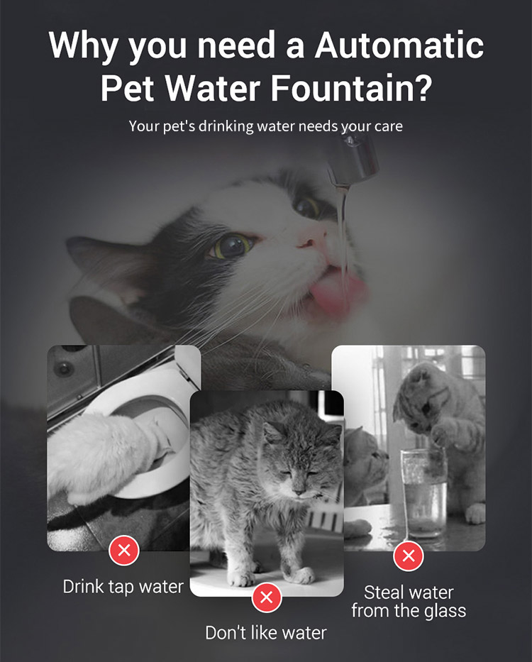 clear cat water fountain