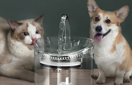 Smart Pet Products New Trend: Clear Pet Water Fountain