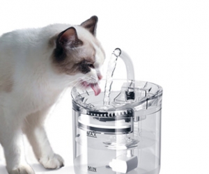 Fully Transparency Automatic Clear Cat Water Fountain