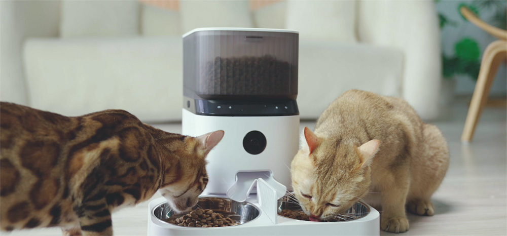 small cat feeder