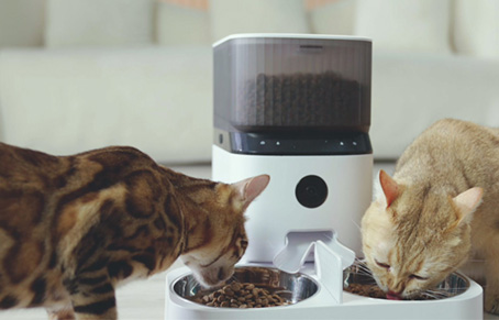 Does The Pet Feeder Still Work When It's Offline?