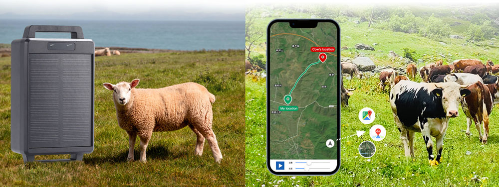 Livestock Tracker