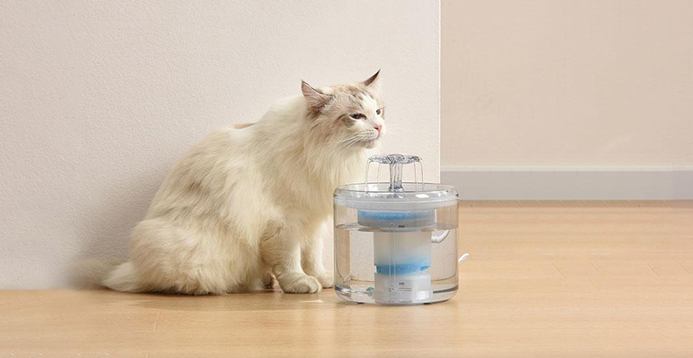 indoor pet water fountain