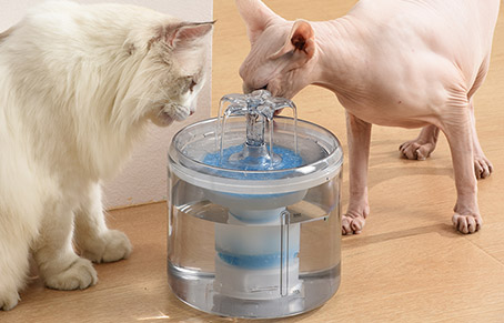 Choosing A Pet Water Fountain Or A Pet Water Bowl?