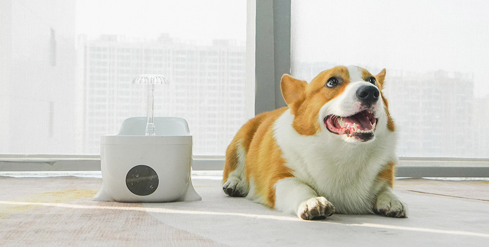 smart pet water dispenser