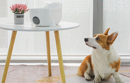 Why Recommend Using A Pet Water Fountain To Feed Pet?