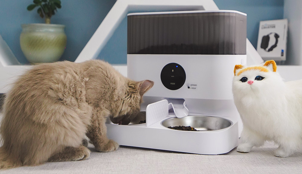 smart camera pet feeder