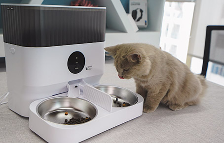 When Can I Use A Pet Feeder To Feed My Cat?