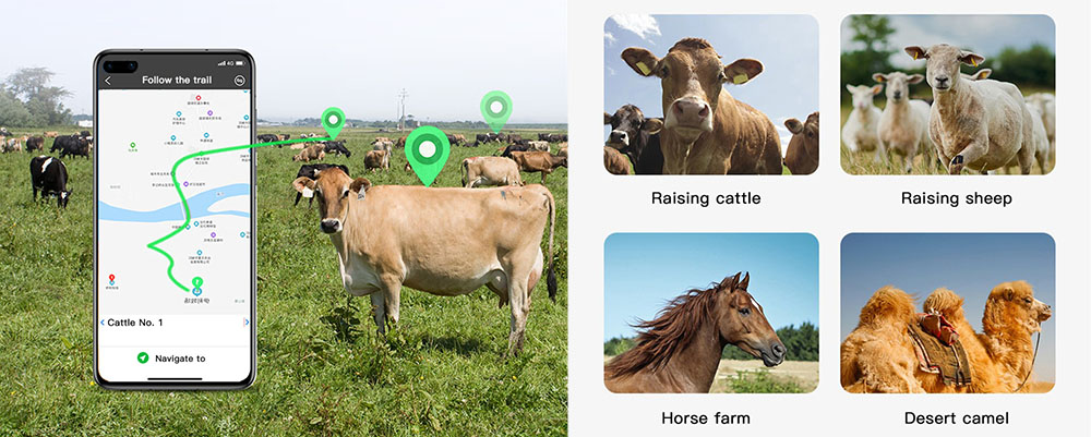 cattle tracking device