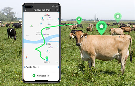 What Protection Do Cattle Tracking Device Provide For L...