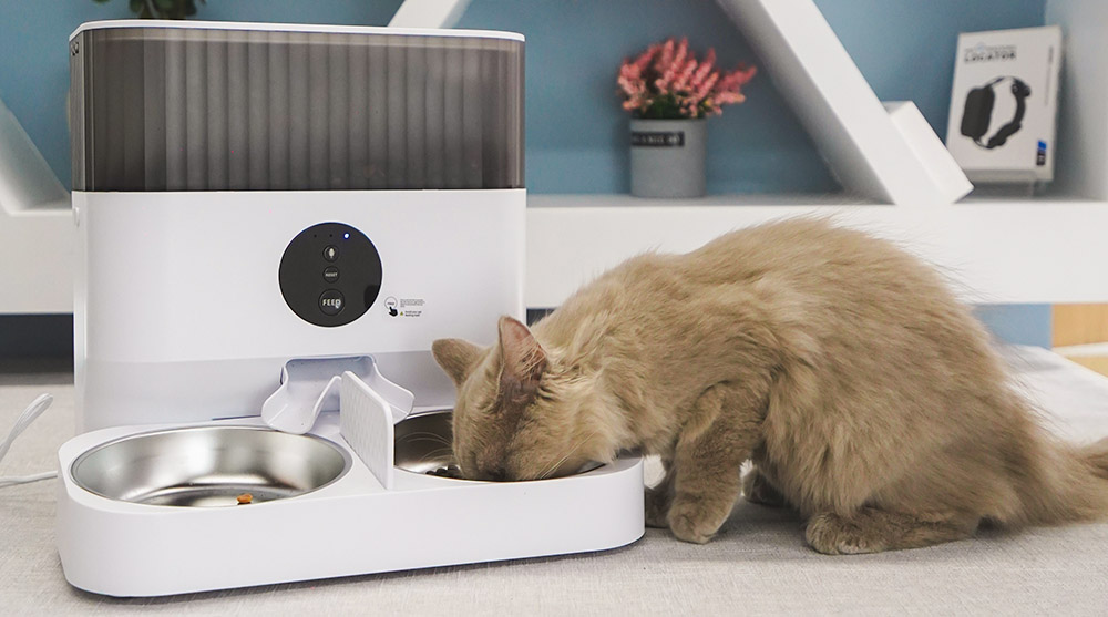 automatic dry cat food dispenser