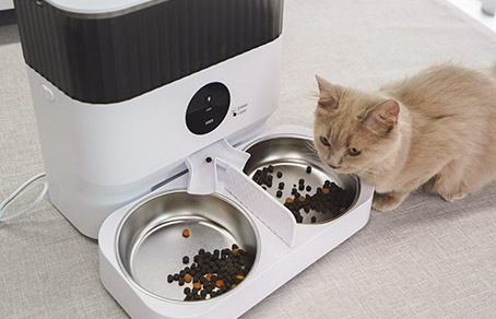 Is It Necessary To Buy A Wet Cat Food Dispenser?