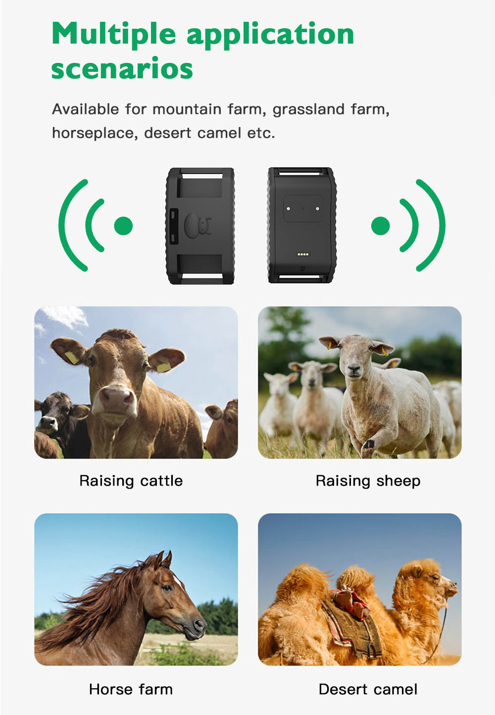 animal tracker collar