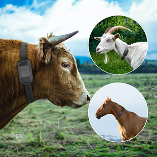 Livestock Animal Gps Cattle Tracker Tracking System