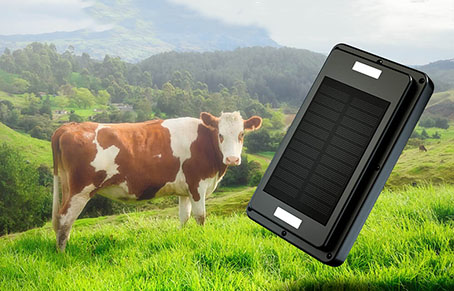 Do I Need A SIM Card For The Livestock GPS Tracker?