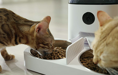 How Do I Use The Cat Food Feeder?