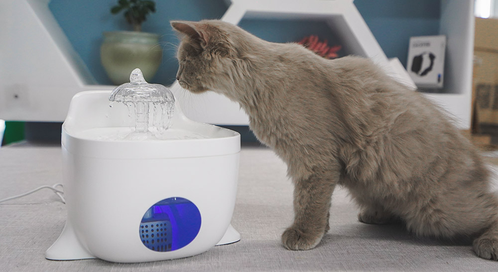 electric pet water dispenser