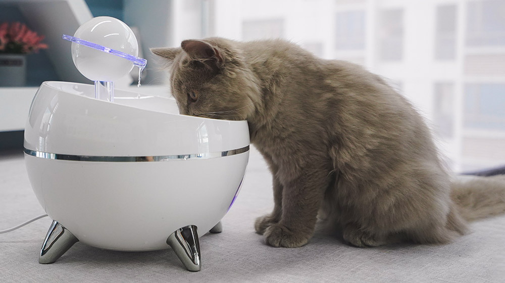 electric cat fountain