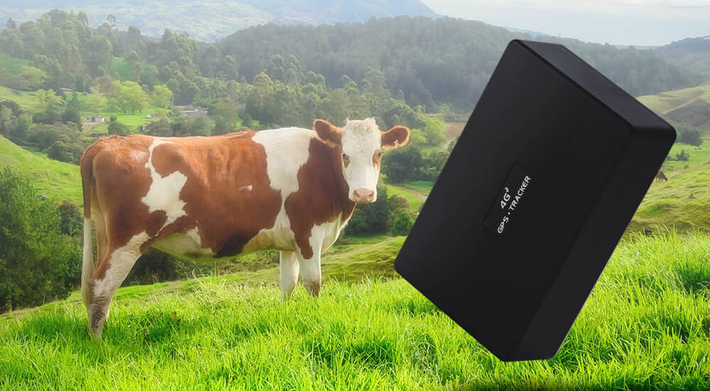 animal gps tracker