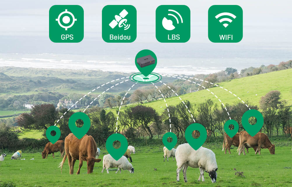 gps tracker for horse