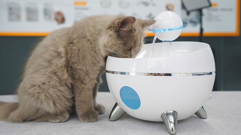 auto water dispenser for cats