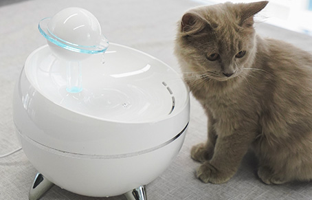 Rational Pet Water Fountain Design To Reduce The Risk O...