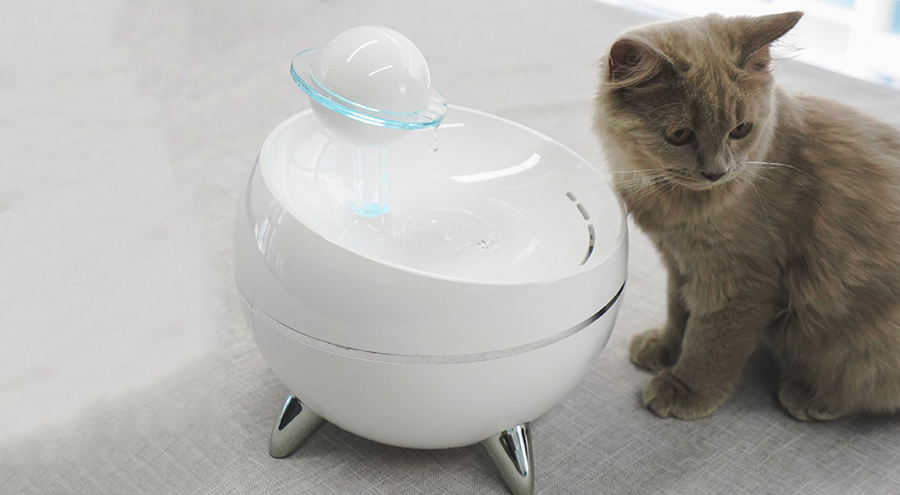 automatic cat drinking fountain