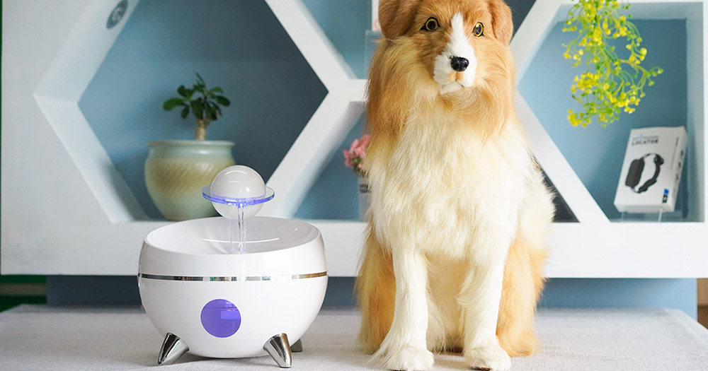 Smart water dispenser for dogs