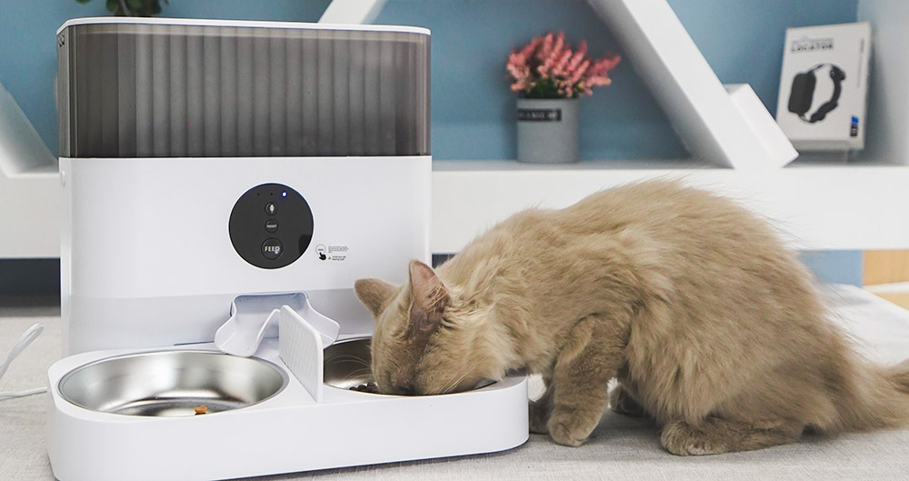 electronic pet food dispenser