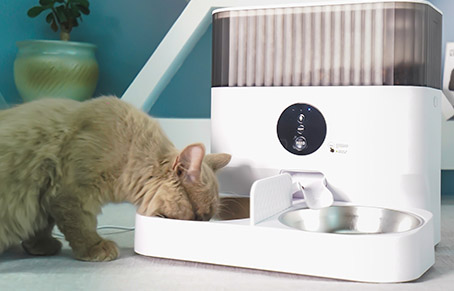 How The Electronic Pet Food Dispenser Works?