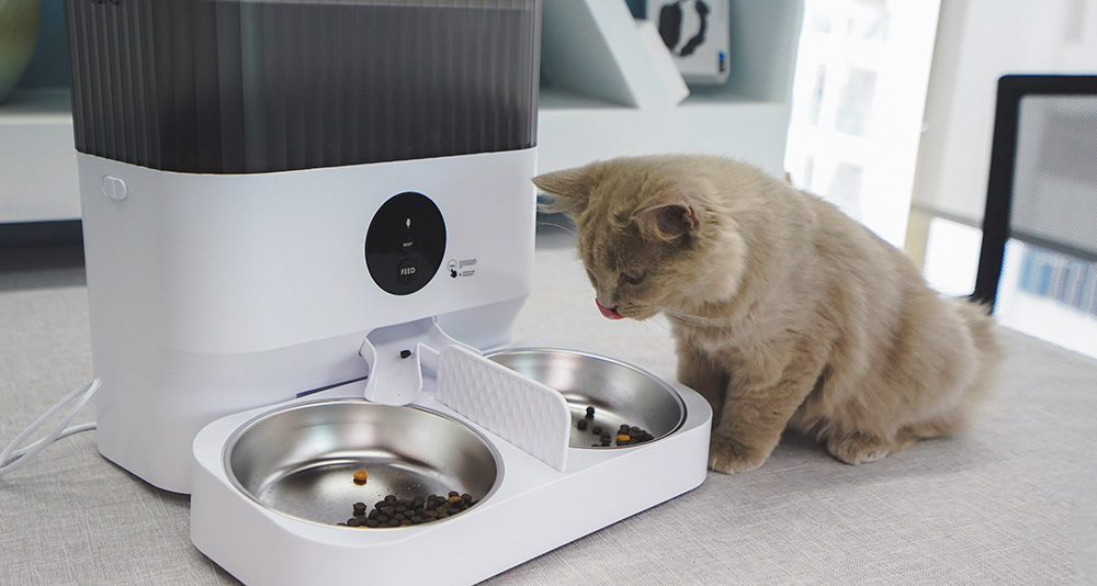 smart pet food dispenser