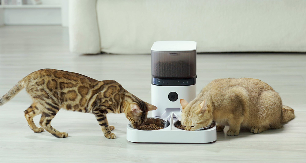 automatic pet feeder with camera