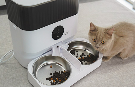 Automatic Pet Feeder With Camera Tutorial