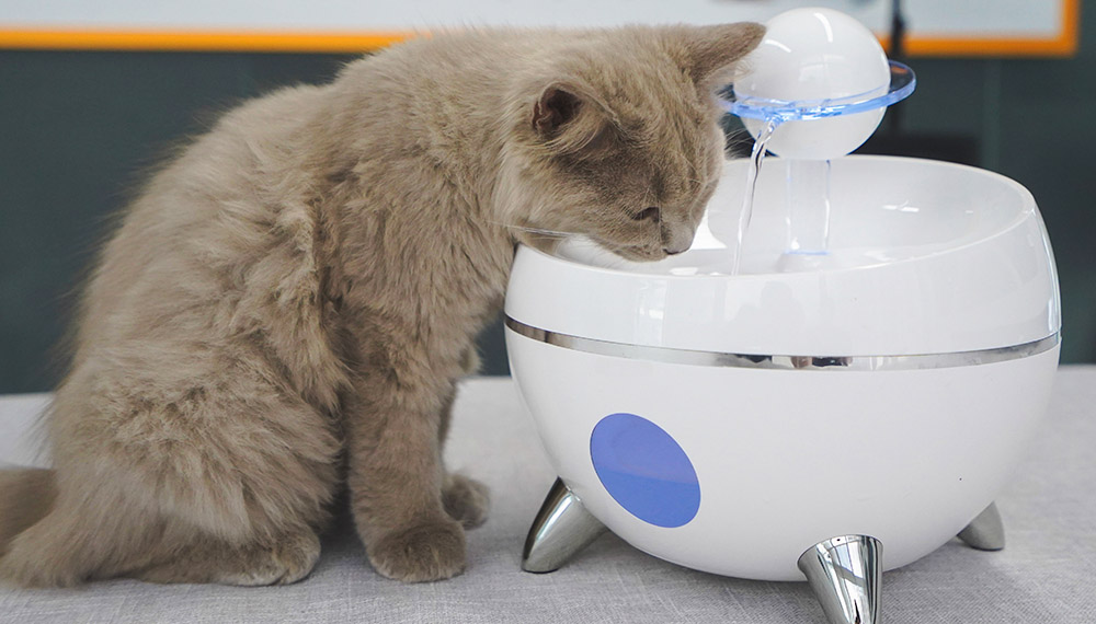 cat water feeder fountain