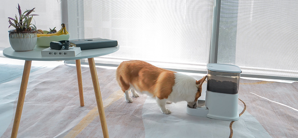 automatic pet feeder dispenser