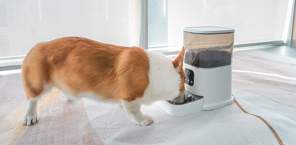 dry food pet feeder