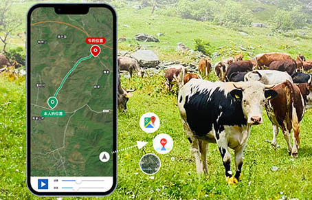 Can Cow Tracking Device Be Used For Horse Tracking?